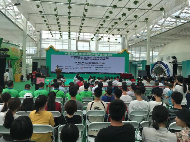 ׯ�к���Ϸ(�й�)�ɷ����޹�˾-����