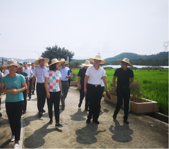 ׯ�к���Ϸ(�й�)�ɷ����޹�˾-����