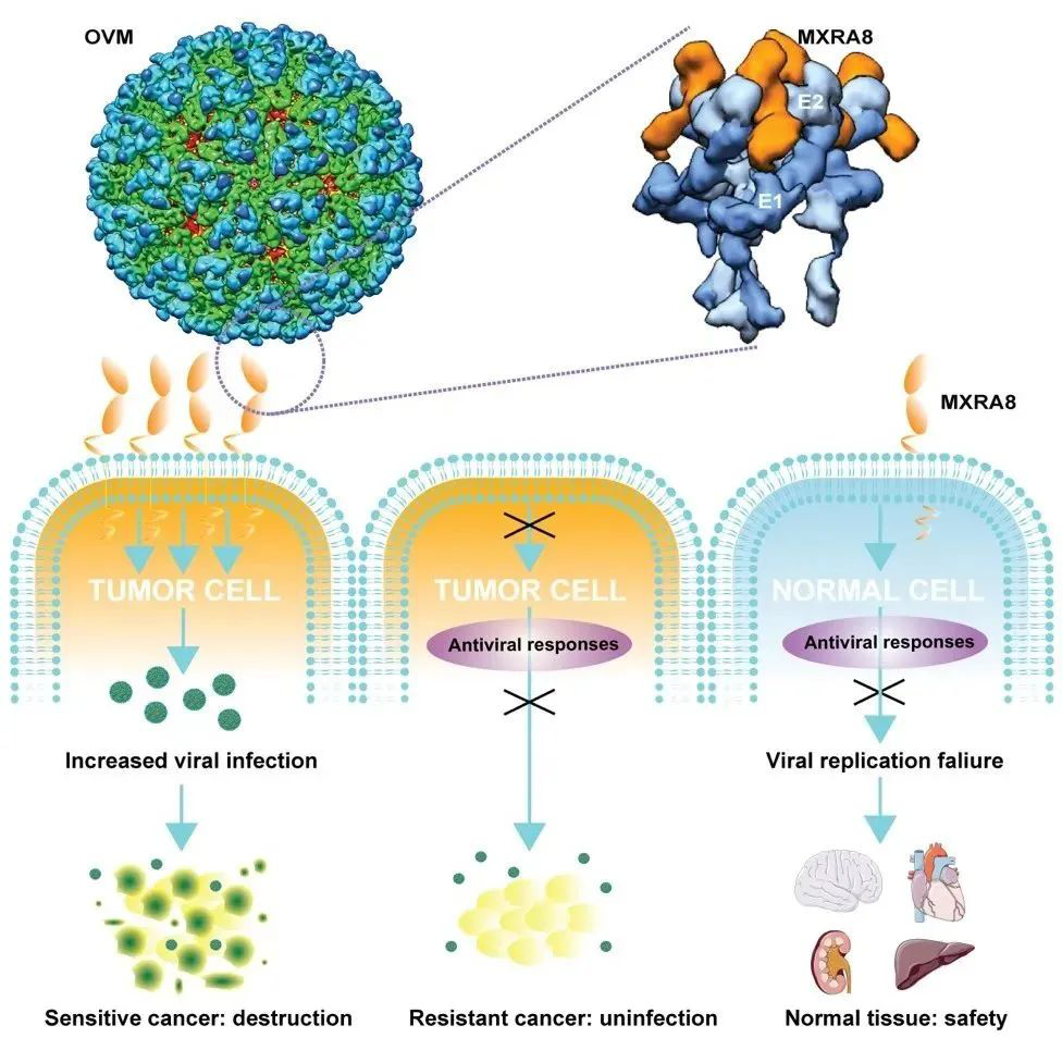 ׯ�к���Ϸ(�й�)�ɷ����޹�˾-����