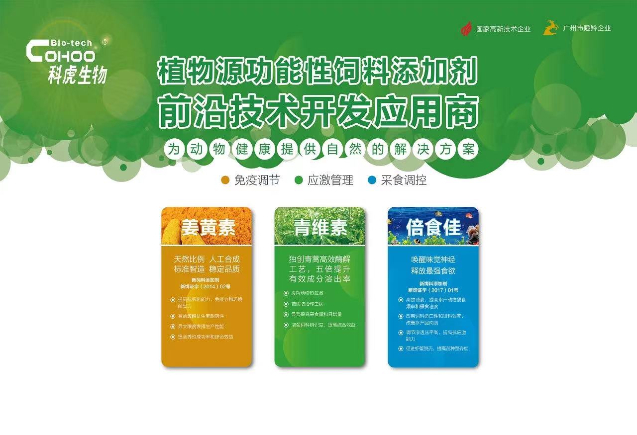 ׯ�к���Ϸ(�й�)�ɷ����޹�˾-����