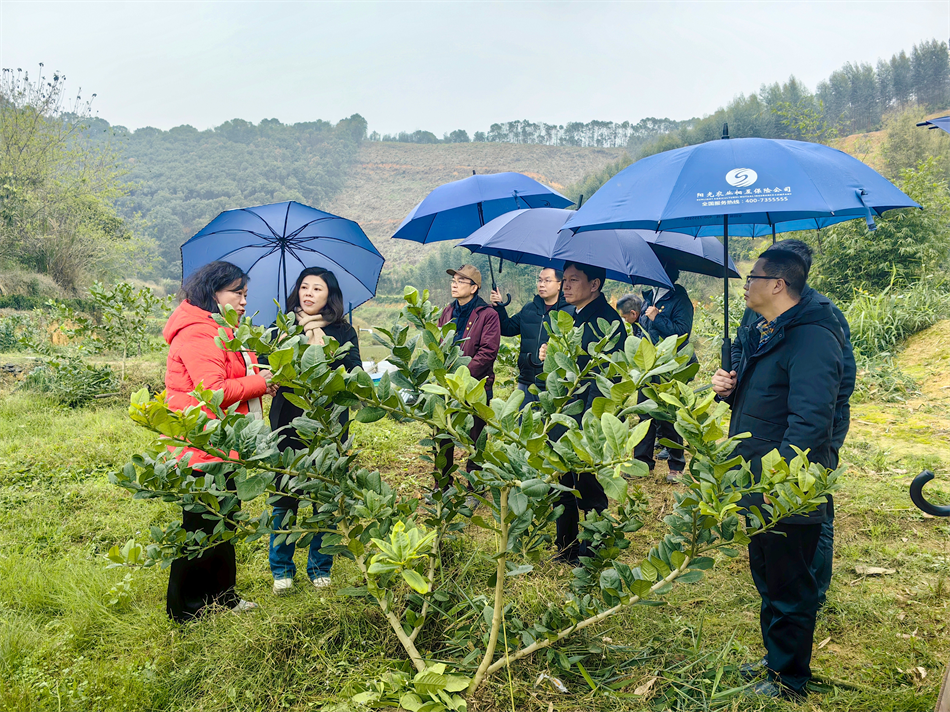 ׯ�к���Ϸ(�й�)�ɷ����޹�˾-����